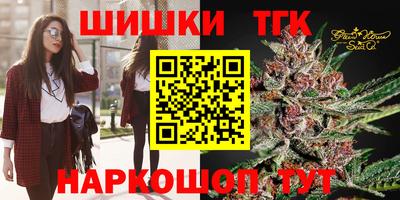 СК Пугачёв